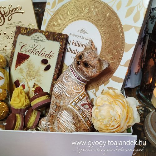 Cicás ajándékcsomag csokoládéval macska rajongóknak - Cirmi cica csokiboltja finomságokkal