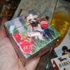 Kutyás ajándékcsomag csokoládéval, kutya mintás rubik kockával kuckózós estékre, kutyás kiránduláshoz