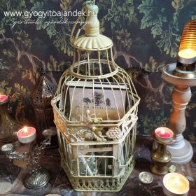   Ajándékcsomag A fák titkos élete című könyvvel  a titokzatos erdőből