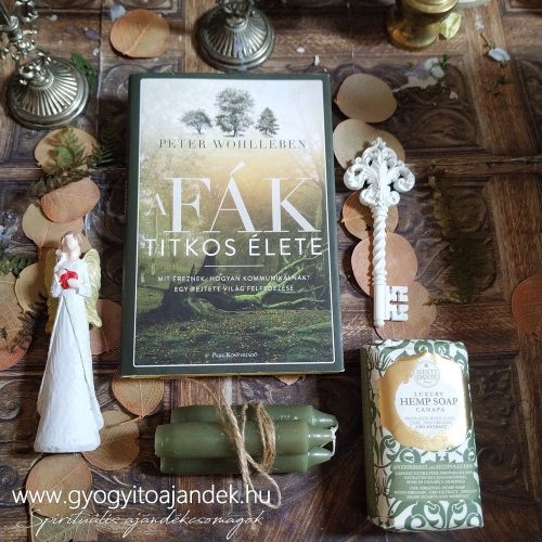 Ajándékcsomag A fák titkos élete című könyvvel  a titokzatos erdőből