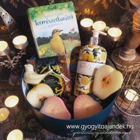   Természetbarát ajándékcsomag erdőfürdő ajándékbox gyertyával, csokival akár gyerekeknek is