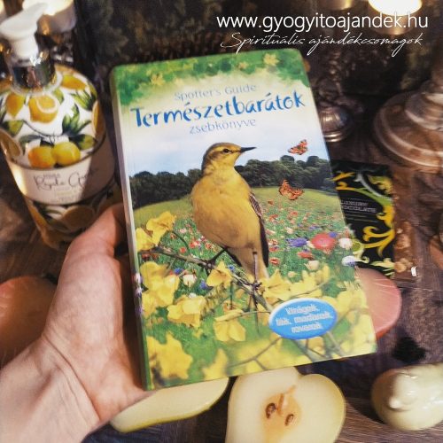 Természetbarát ajándékcsomag erdőfürdő ajándékbox gyertyával, csokival akár gyerekeknek is