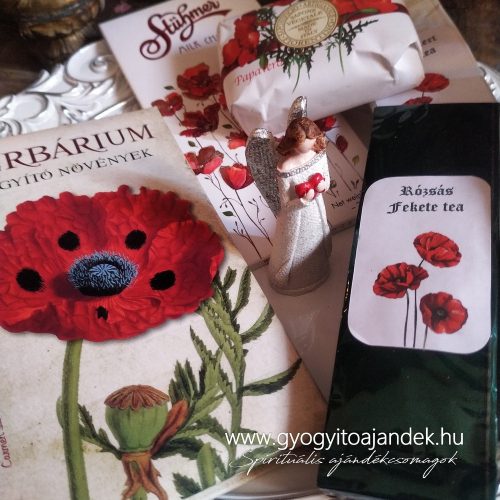 Gyógynövényes ajándékcsomag olvasóbox Herbárium könyvvel