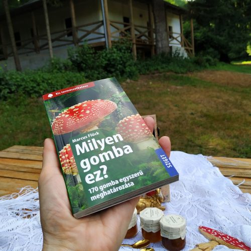 Piknik ajándékdoboz kirándulóknak - Erdei randevú páros piknik box mini lekvárokkal és arany szarvassal