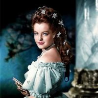 Sisi ajándék, Sisi ajándékcsomagok 