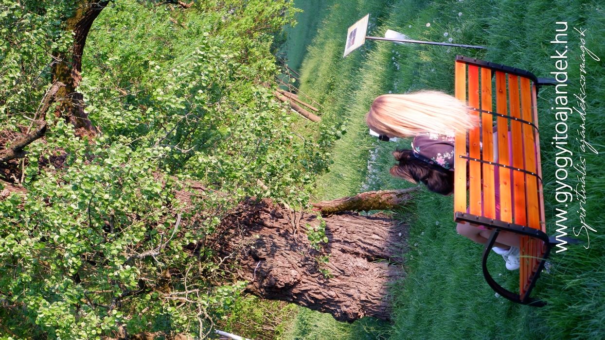 Famatuzsálem Öreg Vackor Tokaj Tisza part